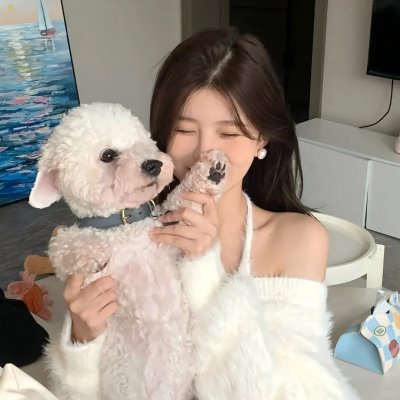 伙伴夫妻